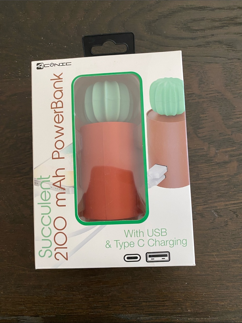Succulent 2100mAh Portable Power Bank - Mint & Terracotta